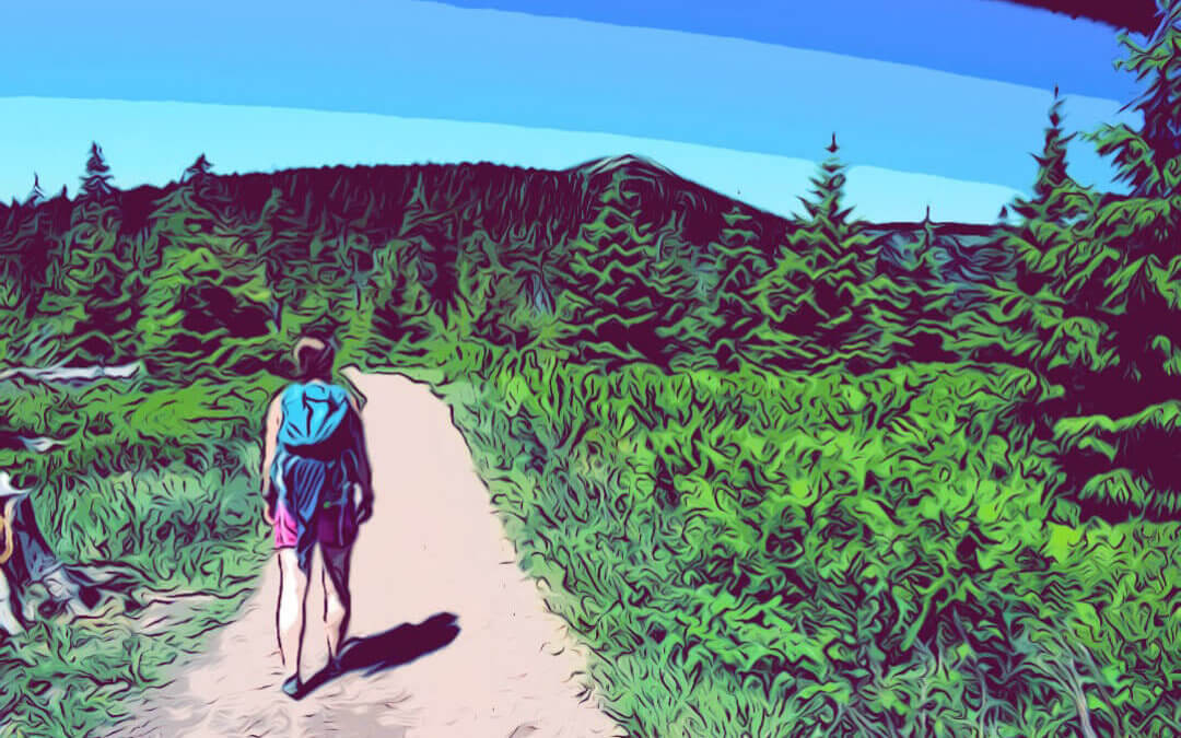 VERONIKA PETŘÍKOVÁ